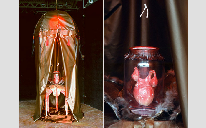 Bawdy House | Installation and close up of dancing uterus, 2002